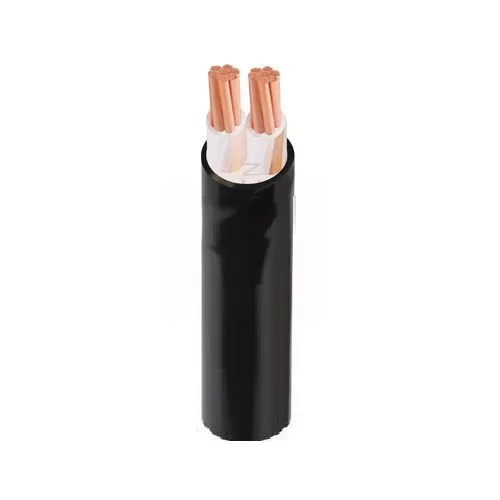 Cáp điện CXV-2x400 - 0.6/1kV