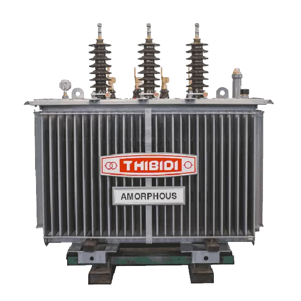 Máy biến áp 3 pha Amorphous chất lượng cao, 630KVA, 22/0.4kV, QĐ-3370 HCMCa